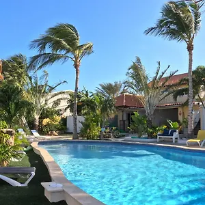 Casalina Garden 2 Blocks To Palm & Kitesurfing School Appartamento
