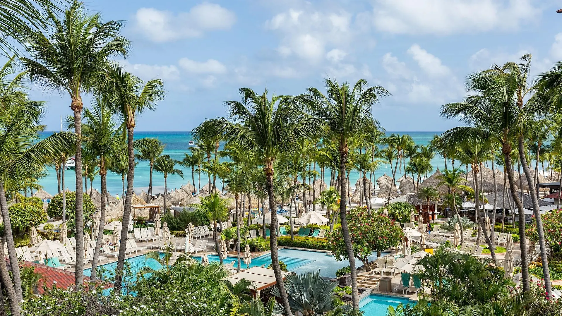 Hyatt Regency Aruba Resort & Casino Palm Beach
