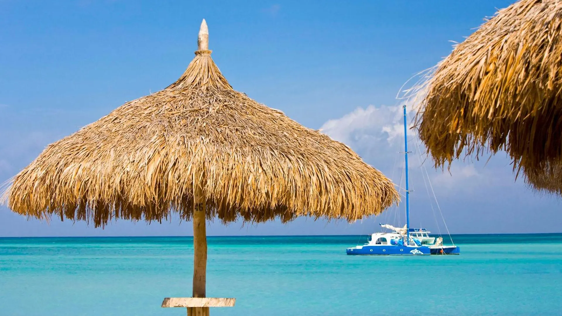 Hyatt Regency Aruba Resort & Casino Palm Beach