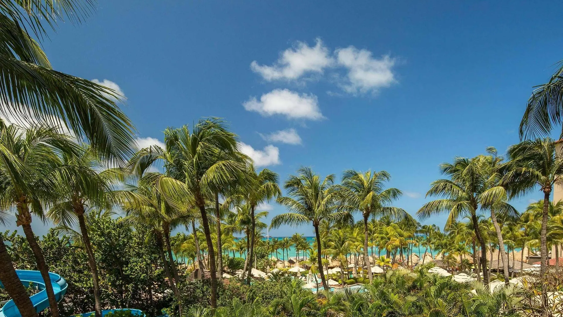 Hyatt Regency Aruba Resort & Casino Palm Beach